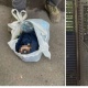 "Туугандары билишин каалаган эмес". Москвада кыргыз келин ымыркайын таштандыга ыргытып салып, өзү жумушка кеткен
