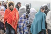 Польша ооганстандык иммигранттардан кутулууга аракет кылууда