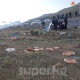 Айдоочу уктап кеткен. Чүйдөгү кырсыктан жеңил унаадагы бир дагы адам тирүү калган жок (сүрөт)
