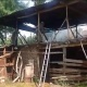 Ошто балдар от менен ойноп, сарайдын чатыры жана чөп күйдү