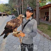 Көл жээкте бүркүт көтөргөн жигит: "Сезондо күнүнө 6-7 миң сом табам"