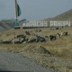 Кара-Сууда дааратканага 2 жашар кыз түшүп кетип, каза болуп калды
