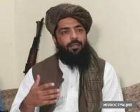 "Талибан" кыймылынын өкүлү Ооганстанда аялдар менен эркектердин чогуу иштөөсүнө тыюу салынарын билдирди