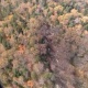 Хабаровск: Куткаруучулар радардан жоголгон АН-26 учагынын кулаган жерине жетти (алгачкы кадр)