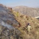 Жалал-Абаддагы Уч жайлоосунда чыккан өрттү өчүрүүгө 17 куткаруучу тартылды
