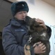 Алматыдагы тополоң: Аскер кызматкери менен уурдалган иттин таасирдүү жолугушуусу (видео)