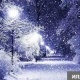 19-январда өлкөнүн көпчүлүк аймактарында мезгил-мезгили менен кар жаайт