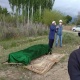 Соңку суткада коронавирус илдети 4 бейтаптын өмүрүн алды