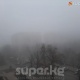 31-январь: Бишкекти коюу туман каптоодо (фото)