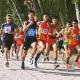 Кросс боюнча өлкөнүн ачык чемпиондугунда жеңүүчүлөрү аныкталды (фото)