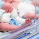 Кыргызстанда 7 миллионунчу жаран бир аптанын ичинде төрөлөт