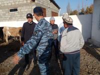 Кадамжайда мал базардагы уурулуктун алдын алуу боюнча иш чара өткөрүлдү