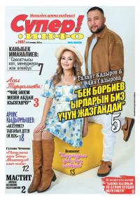 Мастит оорусу, эмчекке кам көрүү боюнча врачтын кеңеши