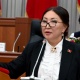 Султанбекова эки өлкөнүн маалыматында 140 гектар жер айырма чыгып жатканын айтты