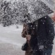 Шашылыш билдирүү! Бишкек менен Чүйдө катуу шамал болот