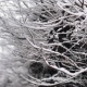 "Кар жаайт". 5-декабрга карата аба ырайы