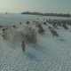 Чүйдө көк бөрүдөн келе жаткан улакчы каза болду