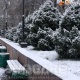 7-декабрга карата аба ырайы тууралуу маалымат