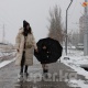 Аппак карлуу Бишкектен сүрөт баян