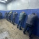 Абактагы адамдан акча талап кылган кылмыштуу топтун мүчөсү кармалды