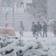 Японияда жааган калың кардан улам 17 адам каза болду