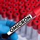 Дүйнөлүк саламаттыкты сактоо уюму омикрондун 4 мутациясын изилдеп жатат