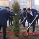 Быйыл Ош шаарына 35 миңге жакын бак-дарактардын көчөттөрү отургузулат