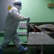 Бир суткада коронаврус инфекциясы 2 адамдын өмүрүн алды