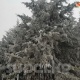 28-февралга карата аба ырайы. Тоолуу аймактарда жаан-чачын күтүлөт