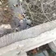 ЭЛДИК КАБАР: "Аксынын Кум айылында таза суу жок, кир суу пайдаланабыз" дейт окурман