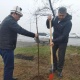 Президенттин жашылдандыруу боюнча өнөктүгүн Оштогу өкүлү улантты