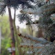 18-марттан 21-мартка чейин республиканын аймактарында абанын температурасы төмөндөйт