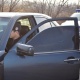 Жогорку Кеңеште унаалардын терезелерин караңгылатуу тууралуу мыйзам колдоо тапты