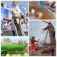 Супер фактылар: Сүмөлөк жасалып, улуттук оюндар менен коштолгон Нооруз тууралуу кызыктуу фактылар