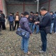 Ошто 2 күндүн ичинде чет элдик жарандарга 190 миң сом айып пул салынды (фото)