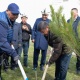 Акылбек Жапаров ар кыл конфессиялардын өкүлдөрү менен көчөт отургузууга катышты