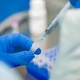 Өткөн суткада коронавирустан каза болгондор жок