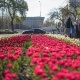 30 градуска чейин ысыйт... 6-апрелге карата аба ырайы