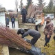 Өлкөдө калктын аялуу катмарларына 160 миңден ашык мөмө-жемиш көчөттөрү берилди