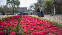 11-апрелге карата аба ырайы тууралуу маалымат