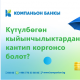 Күтүлбөгөн кыйынчылыктардан кантип коргонсо болот? (кеңеш)