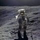 Нил Армстронг 1969-жылы Ай бетинен чогултуп алган чаң аукциондо сатылды