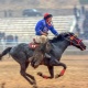 Улуу жеңишке арналган көк бөрү турнири качан башталары белгилүү болду