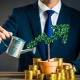Бай болууга тоскоолдук кылган адаттар кайсылар? Адистер аларды тизмектейт