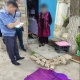 Ошто атасынан калган ок атуучу куралды сатууга аракет кылган аял кармалды