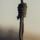 Бишкектеги сейил бакта 48 жаштагы жаран даракта асылып турган абалда табылды