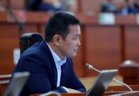 Депутат президенттин, министрлер кабинетинин өкүлү "Ата-Журт Кыргызстан" фракциясын тоготпой жатканын айтты