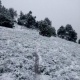 Өзбекстанда кар жаады