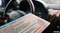 Телеграм аркылуу айдоочулук күбөлүктөр сатылууда. Милиция эмне дейт?