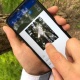 Бишкекте 2 миңден ашуун дарак электрондук каттоодон өткөрүлдү
